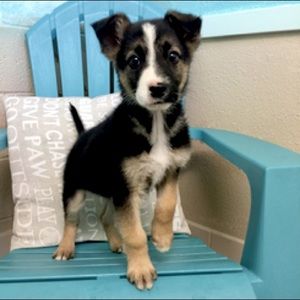 Meet the Posher, Ash!